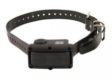 collier anti aboiement sportdog 10r