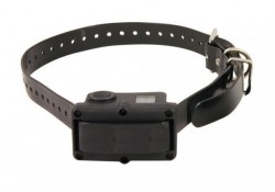 collier anti aboiement sportdog 10r