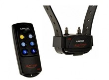 collier de dressage Canicom 200 first