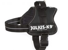 harnais julius k9 power