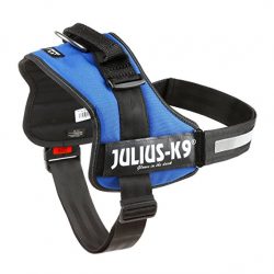 harnais pour chien Julius k9 bleu