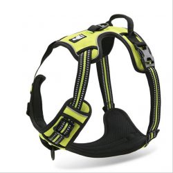 harnais anti traction chien fiE FIT INTO EVERYWAY