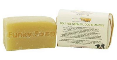 Savon shampoing Funky Soap Tea tree